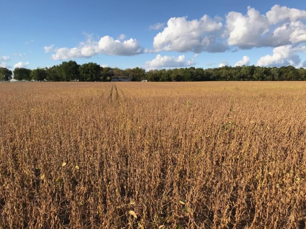 Garden Prairie Rd, Garden Prairie, IL 61038 MLS 11965536