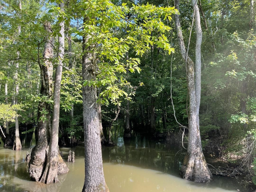 45 acres in Phillips County, Arkansas