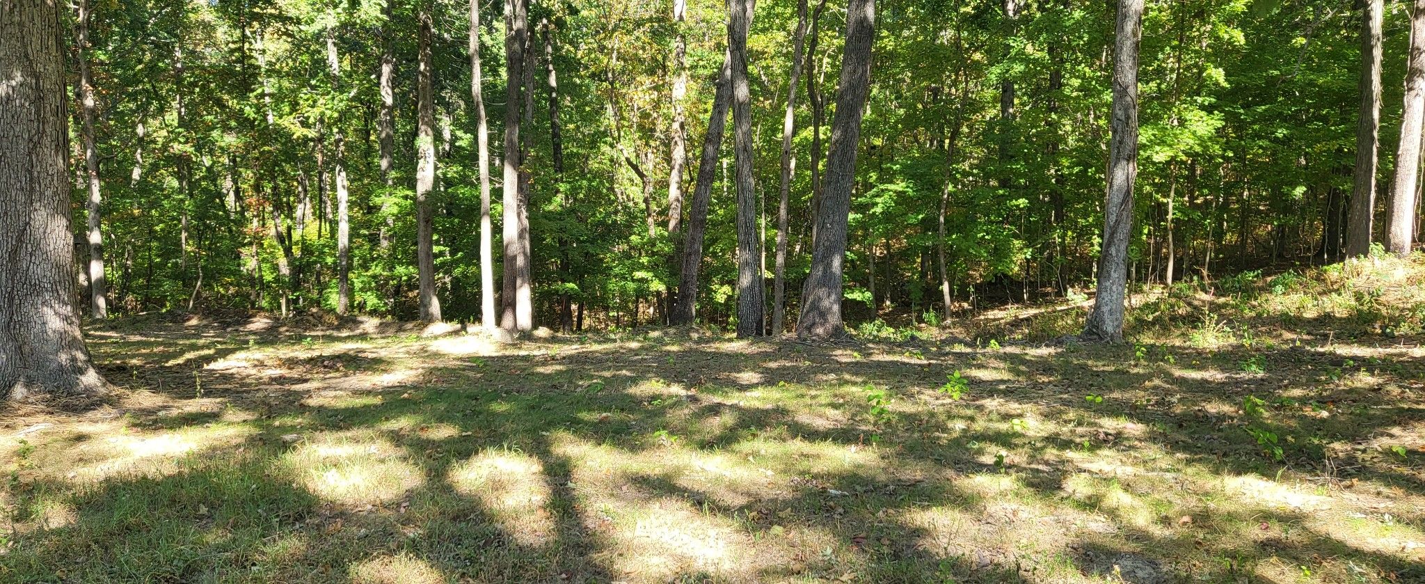 1.26 acres in Stewart County, Tennessee