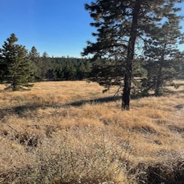 10 acres in Lincoln County, Washington