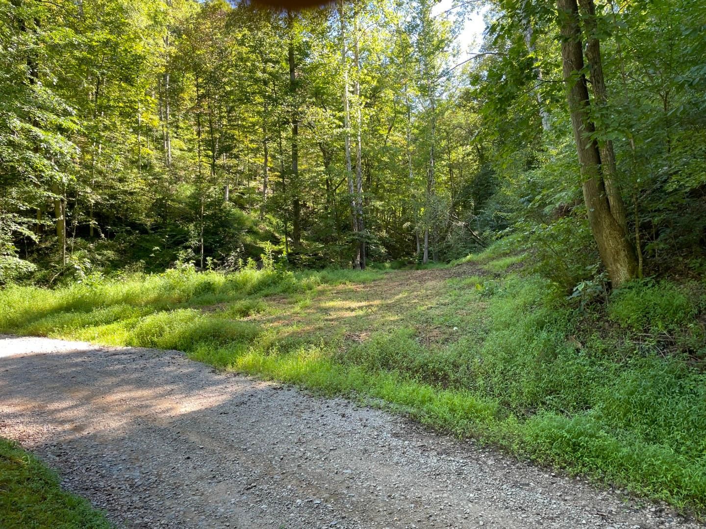 124 acres in Ritchie County, West Virginia