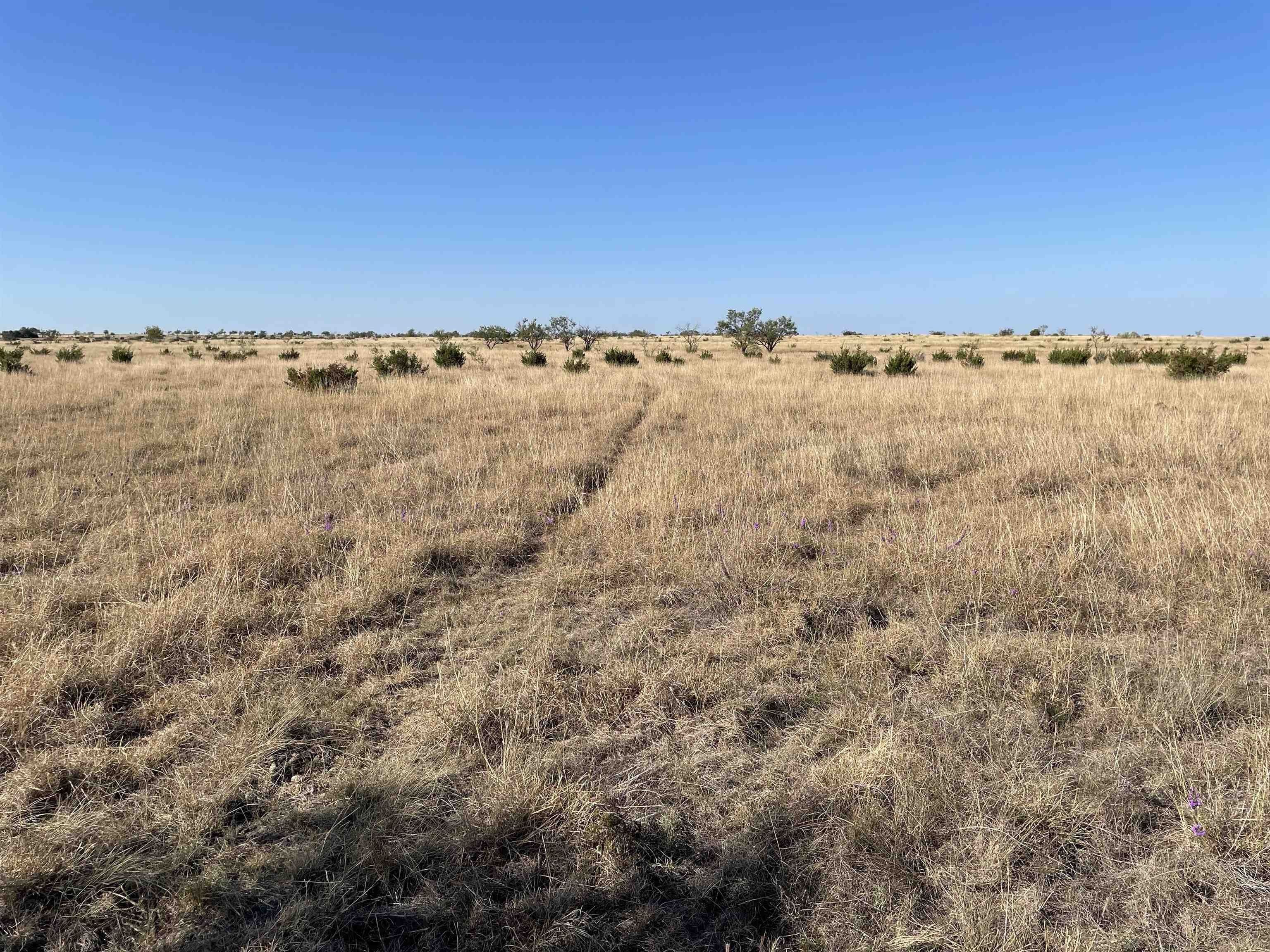 75 acres in County, Texas