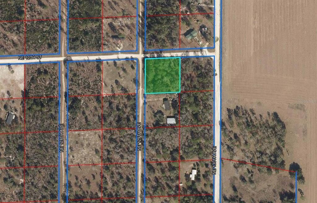 1 acres in Levy County, Florida