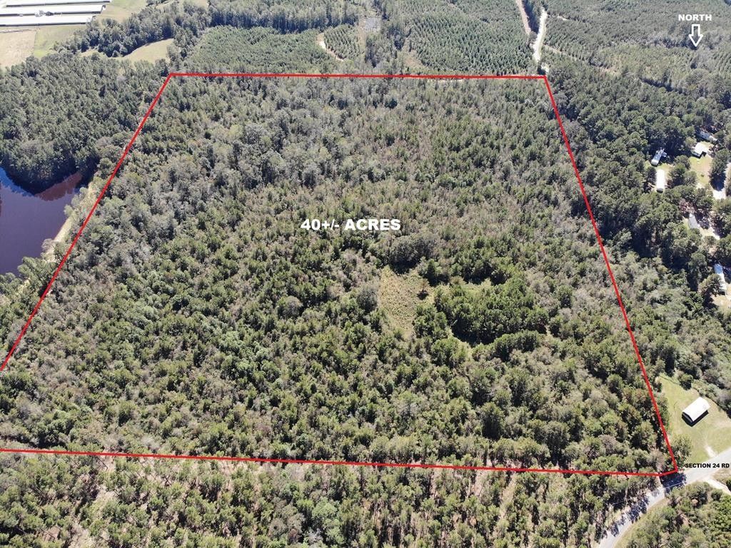 40 acres in Wayne County, Mississippi