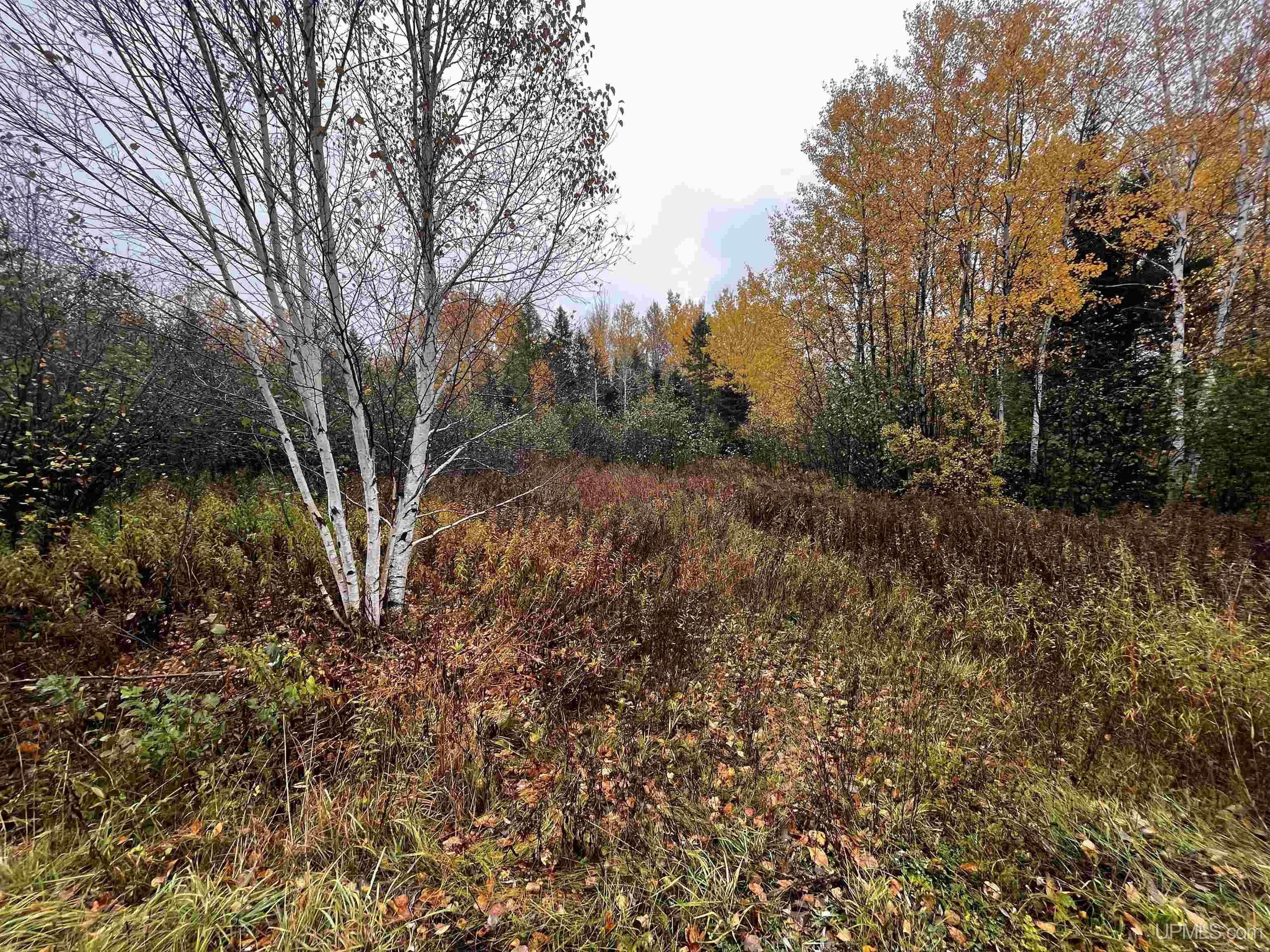 35 acres in Ontonagon County, Michigan