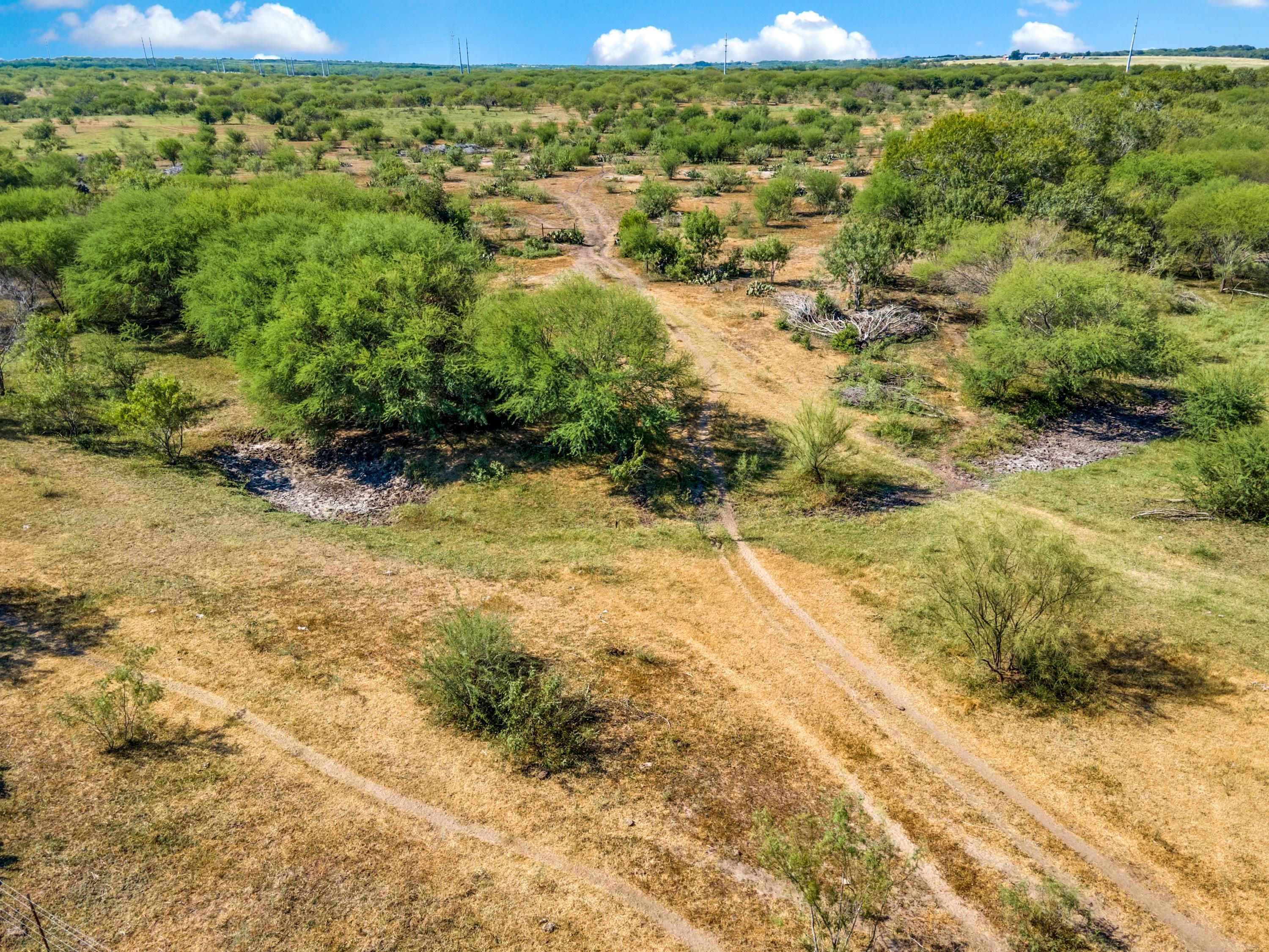 200 acres in Karnes County, Texas