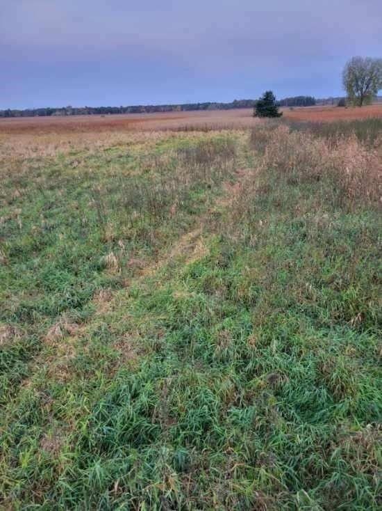 40 acres in Green Lake County, Wisconsin