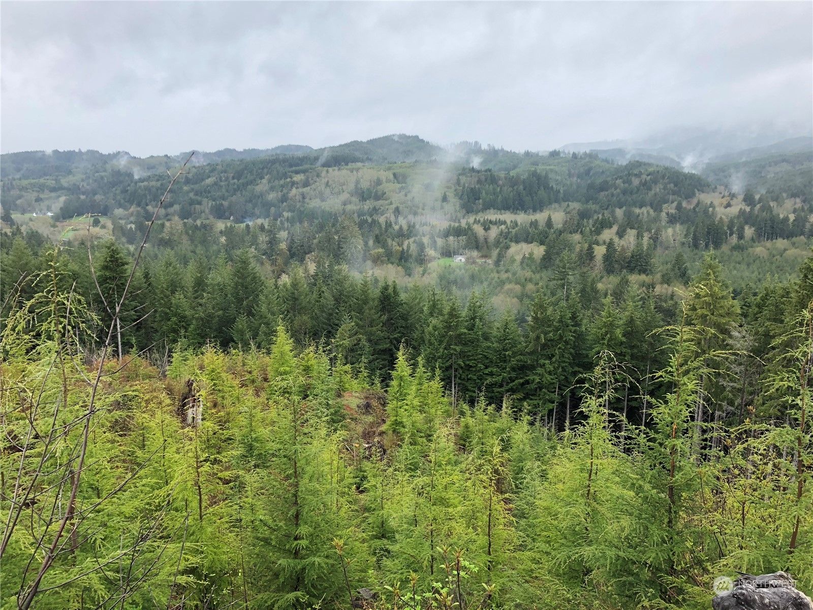 120 acres in Wahkiakum County, Washington