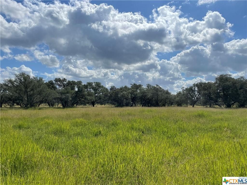 8.73 acres in Goliad County, Texas