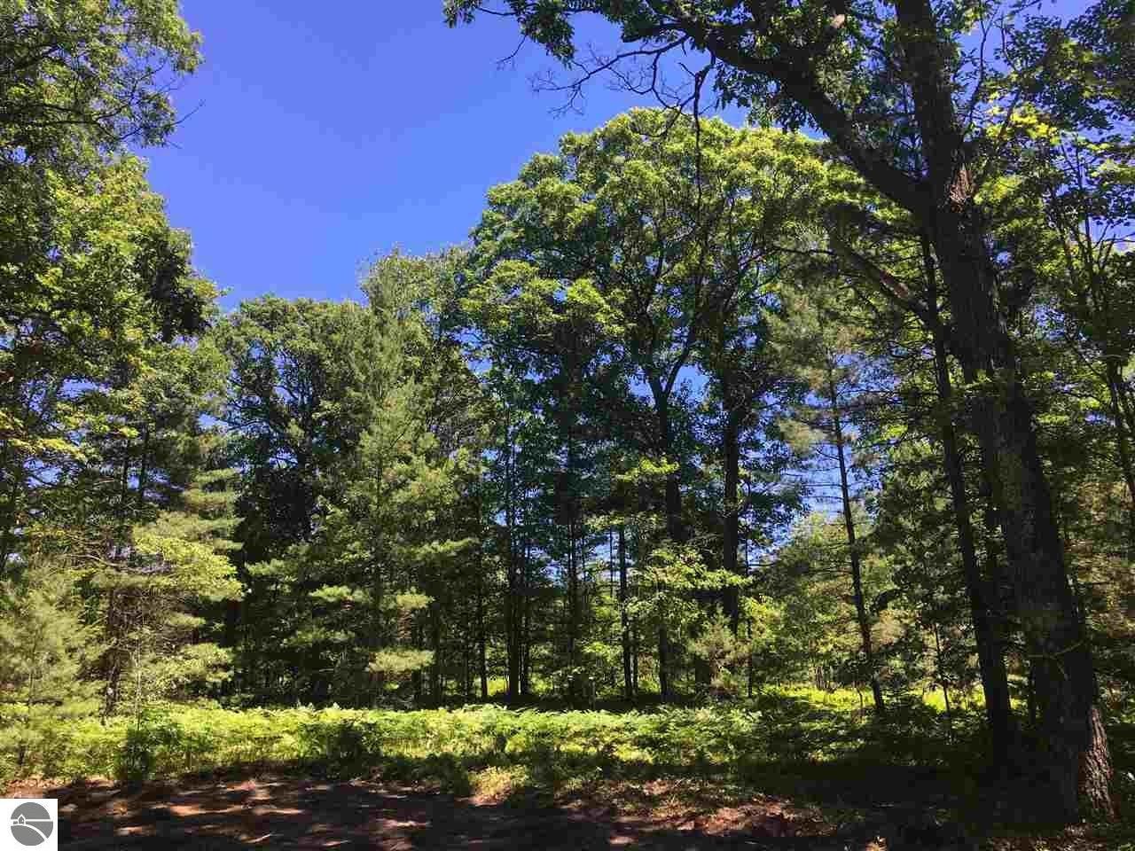 6.56 acres in Grand Traverse County, Michigan