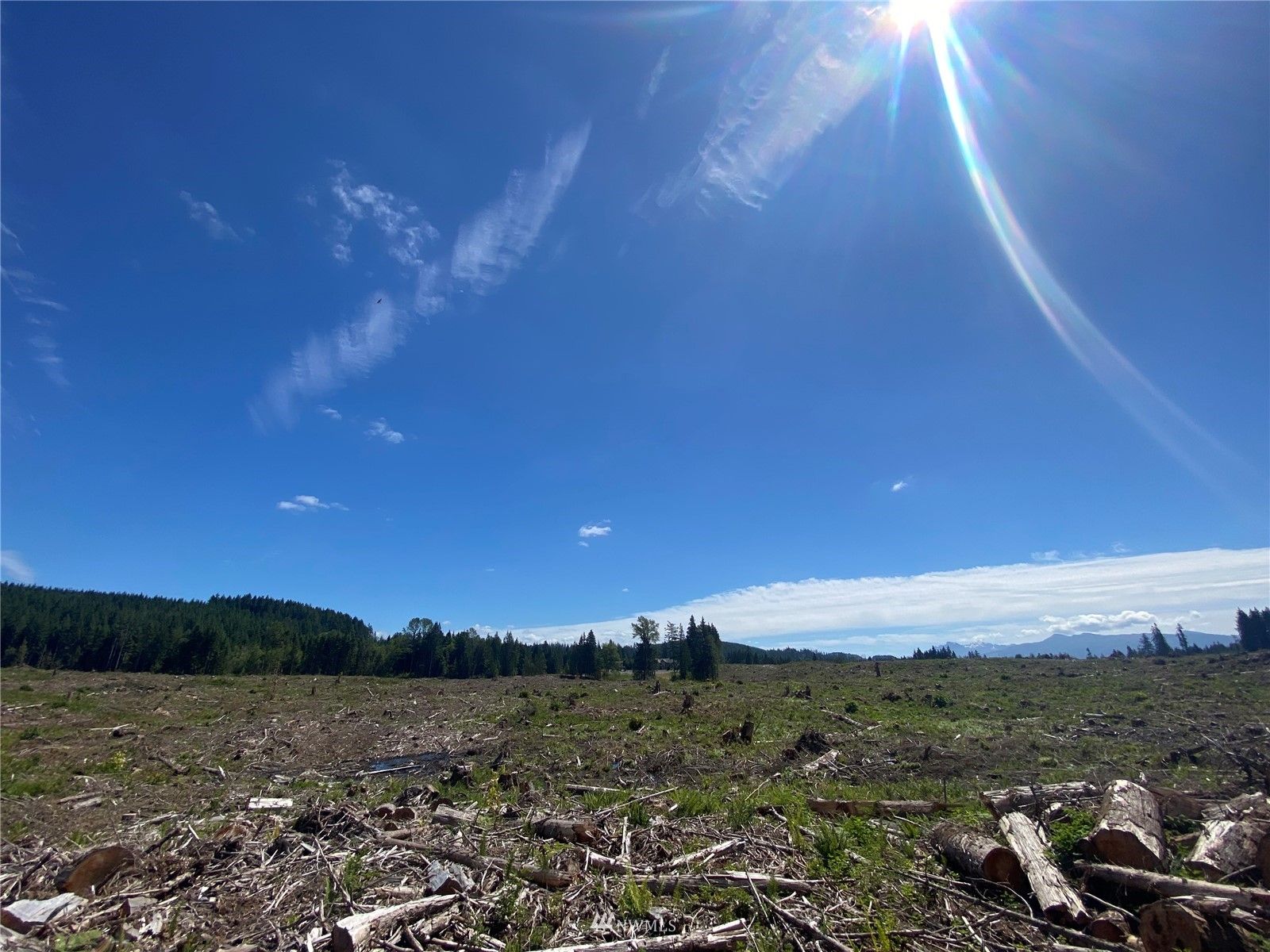 40 acres in Snohomish County, Washington
