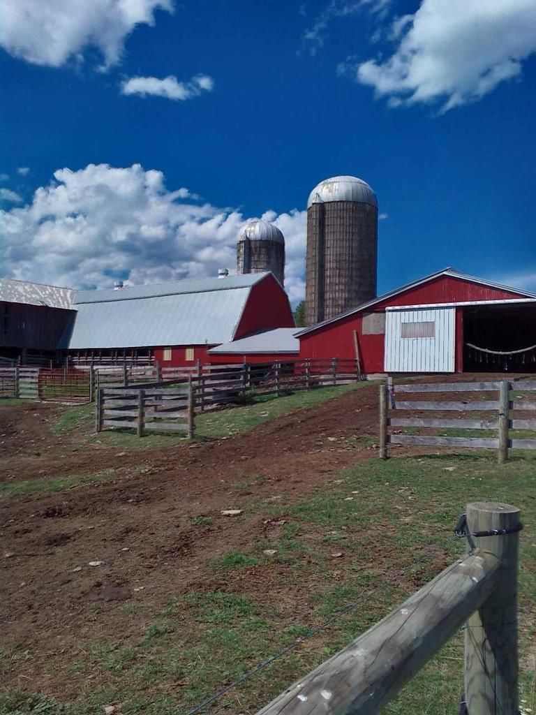 132 acres in Steuben County, New York