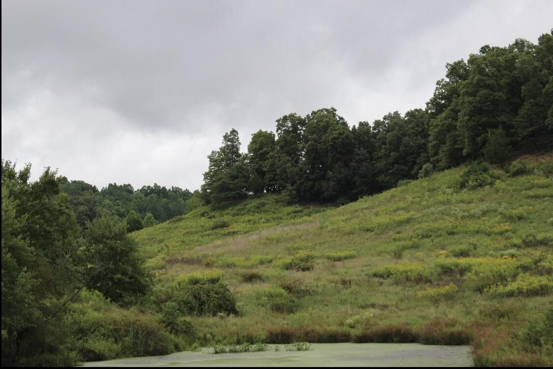 46.49 acres in Laurel County, Kentucky
