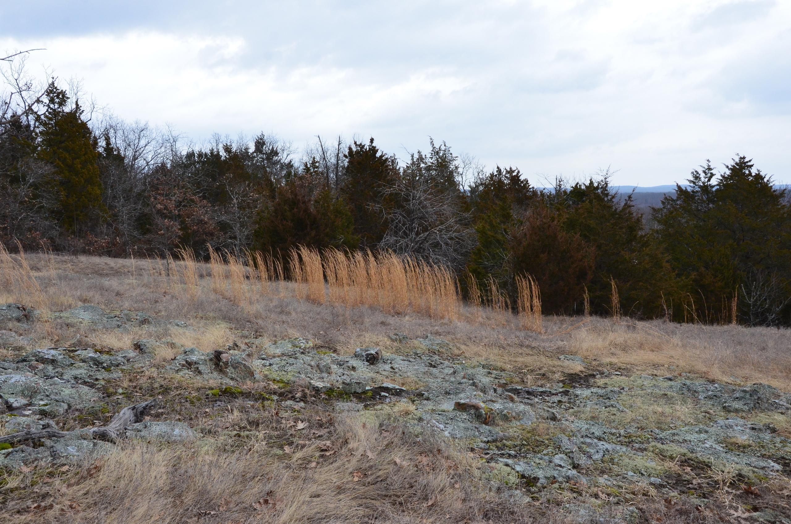 40 acres in Saint Francois County, Missouri