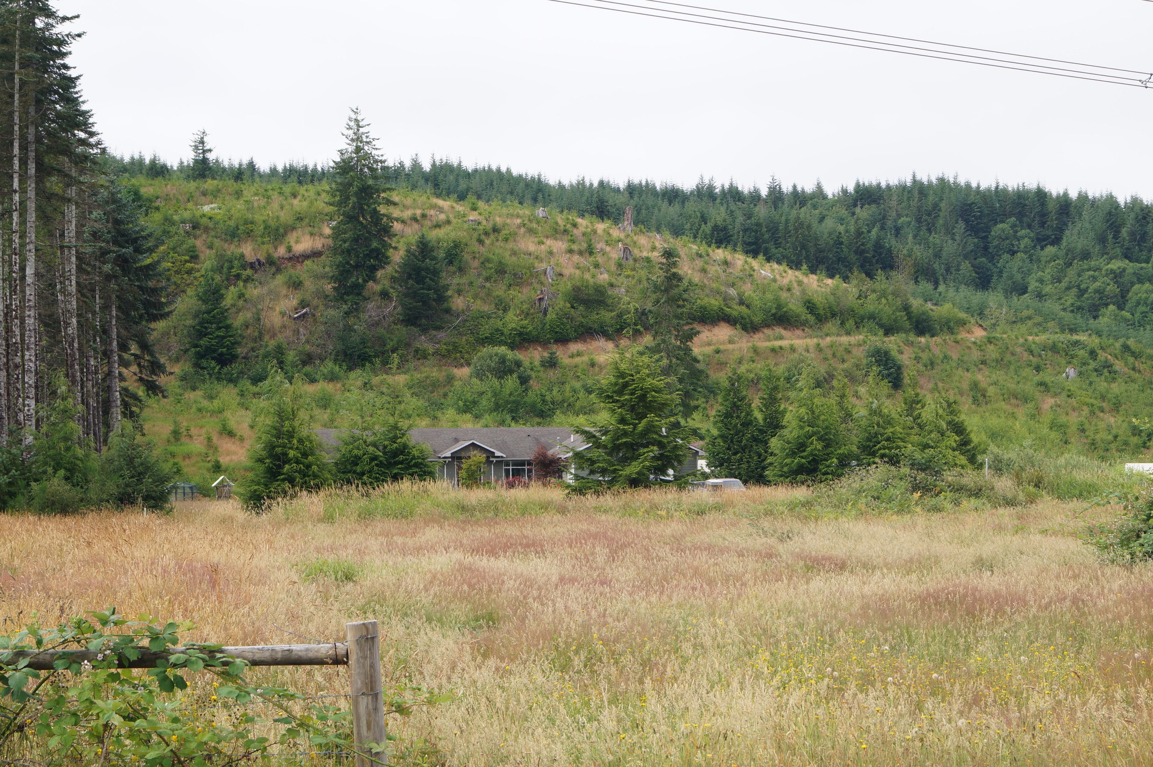 65 acres in Grays Harbor County, Washington