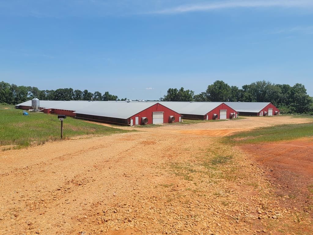 28 acres in Pike County, Alabama
