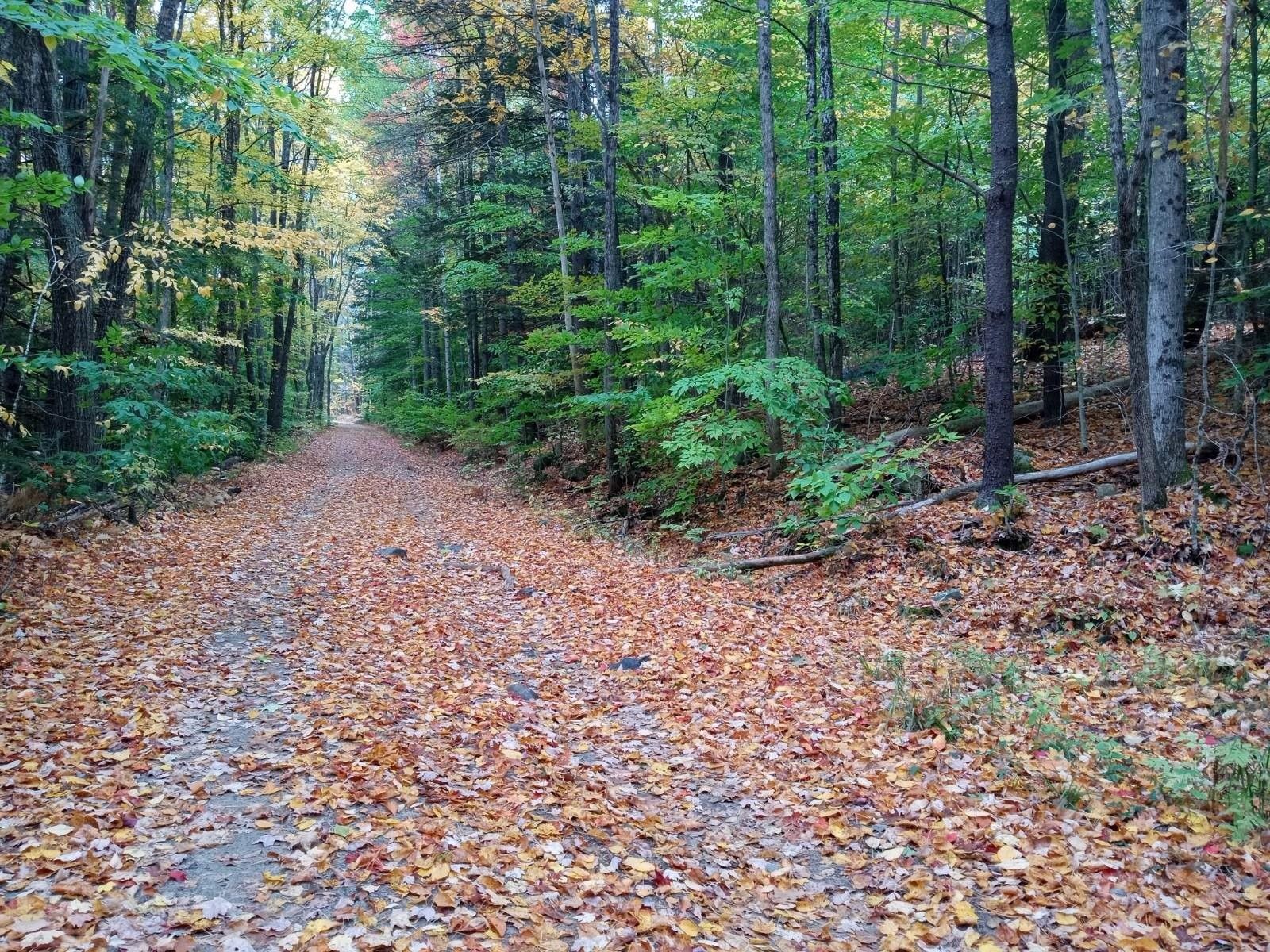 19 acres in Cheshire County, New Hampshire