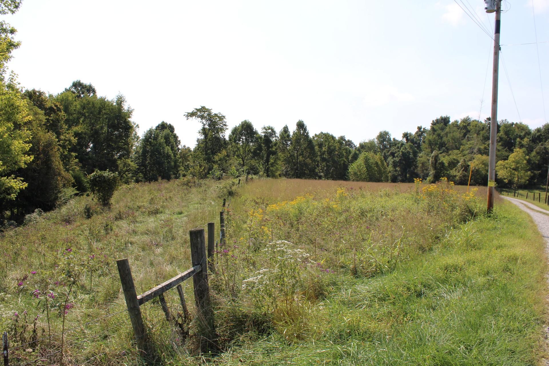 59 acres in Lawrence County, Ohio