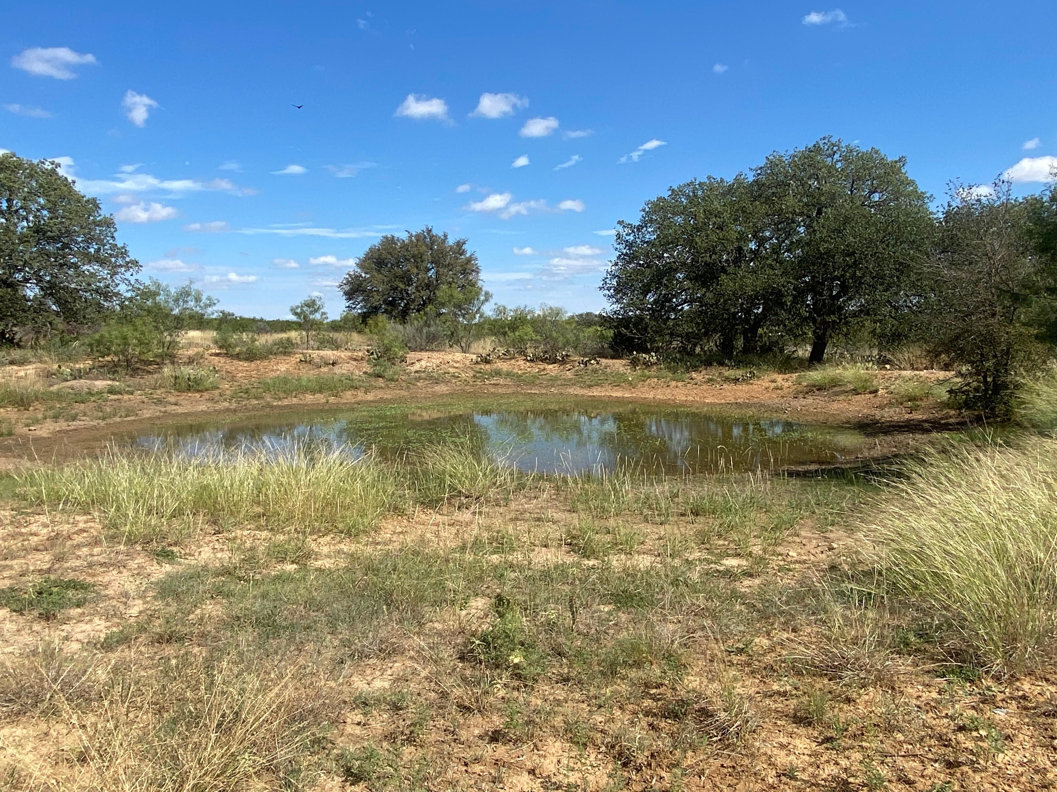 30.52 acres in Mills County, Texas
