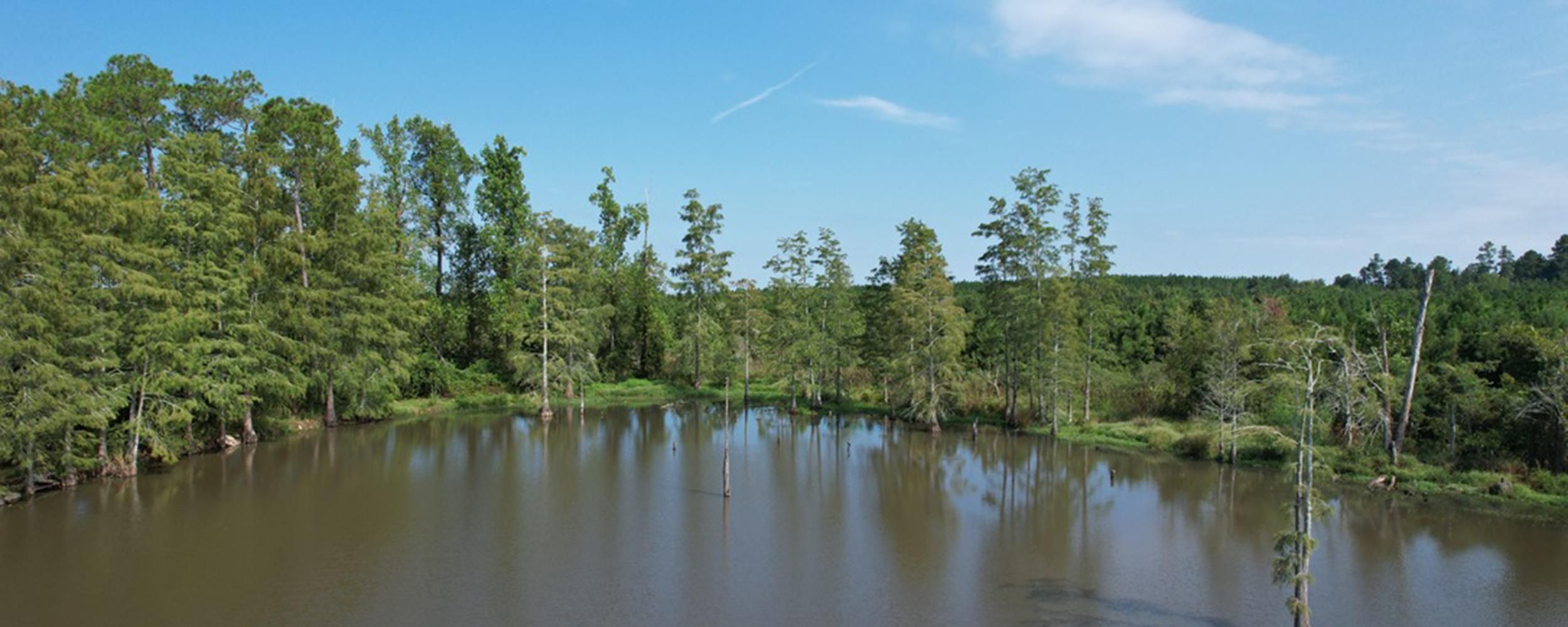 34 acres in Coffee County,