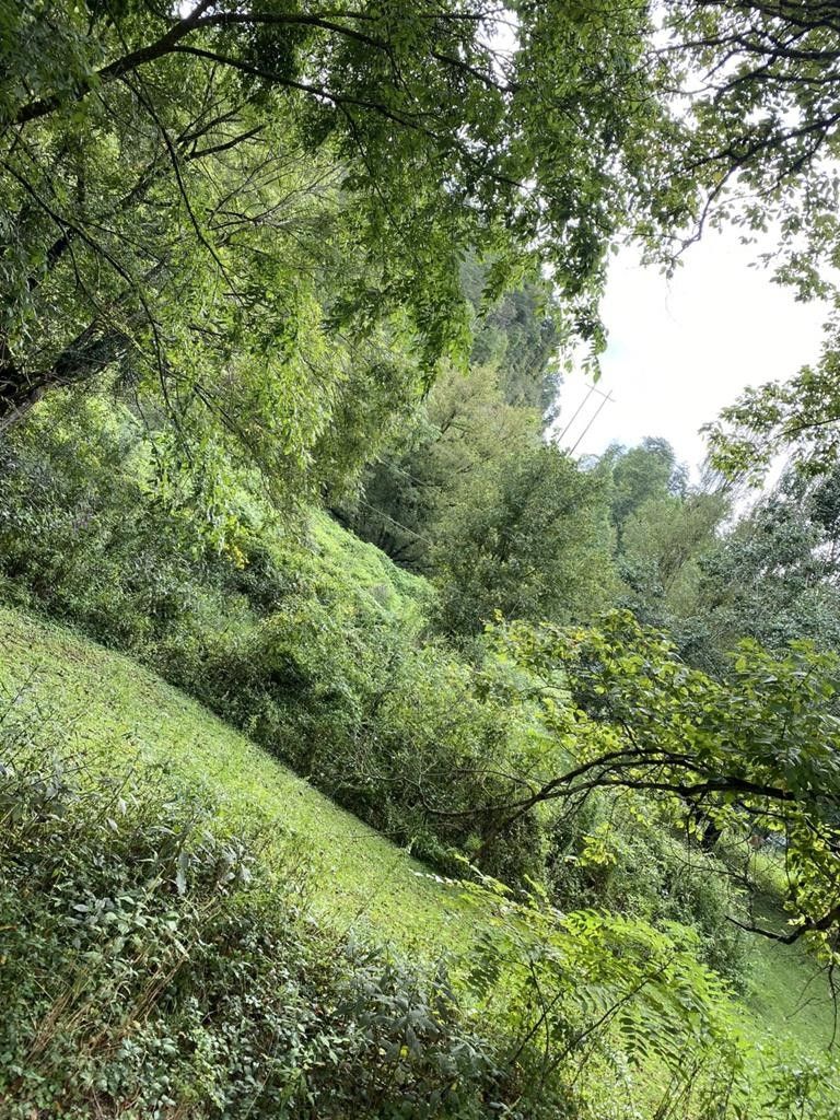 9 acres in Floyd County, Kentucky