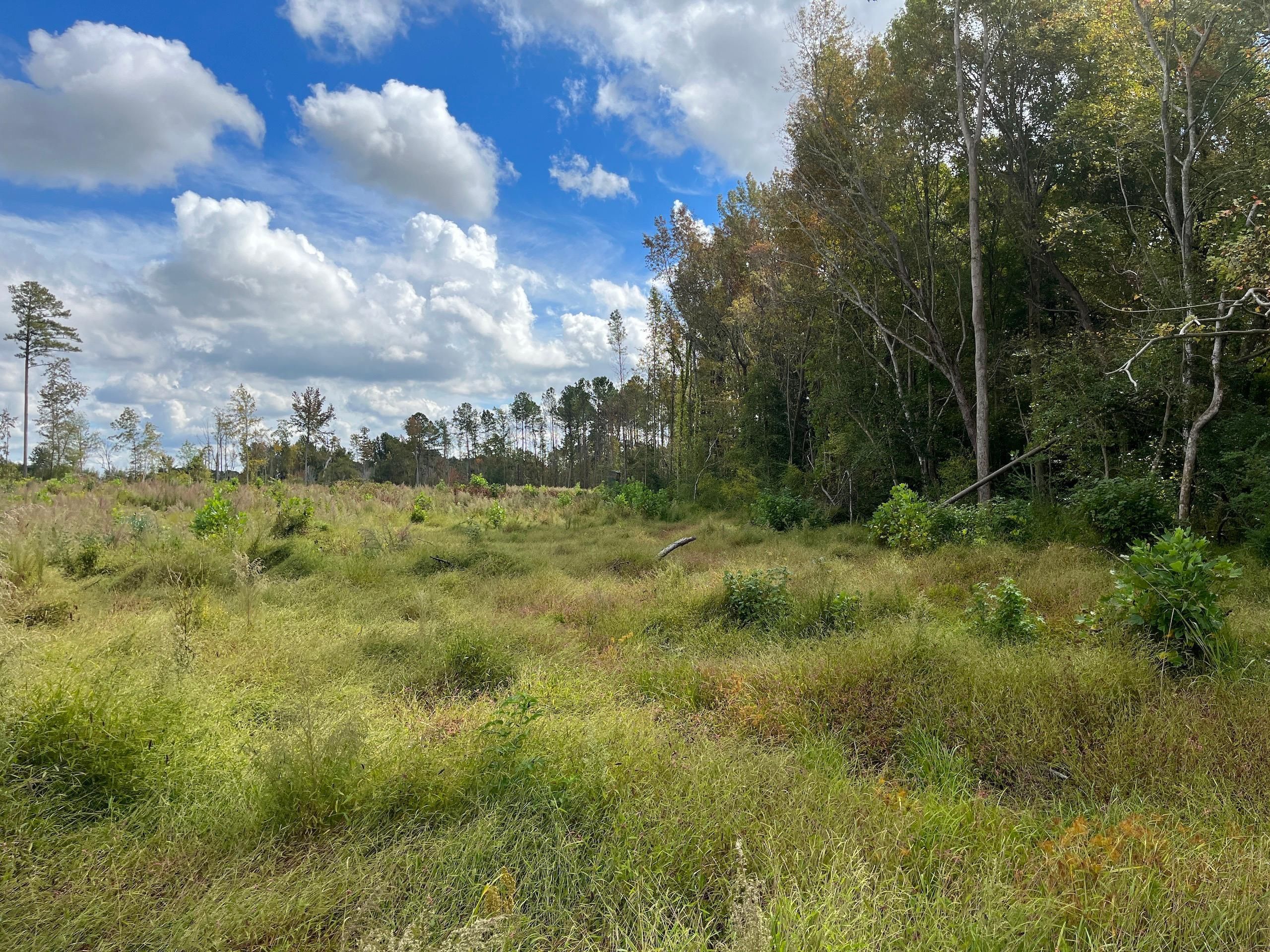 15.5 acres in Wilson County, North Carolina