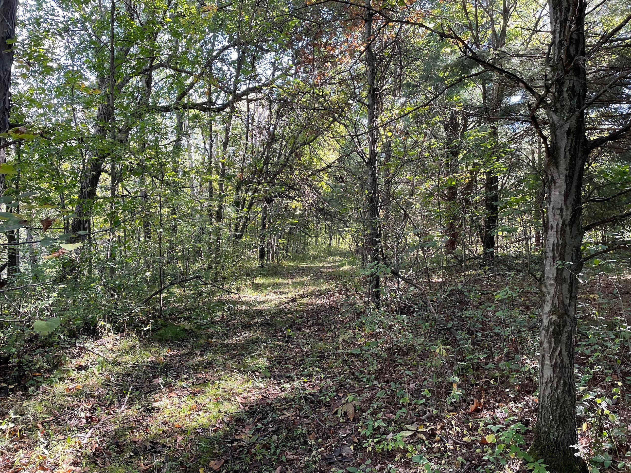 28 acres in Juneau County, Wisconsin