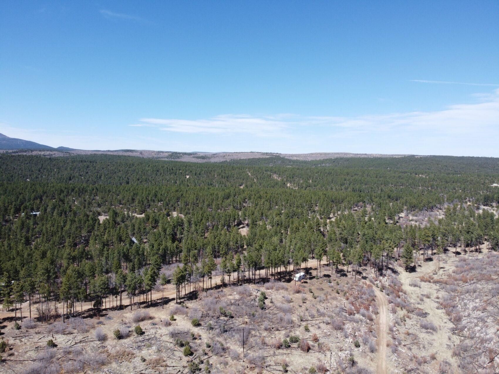 1.4 acres in Torrance County, New Mexico