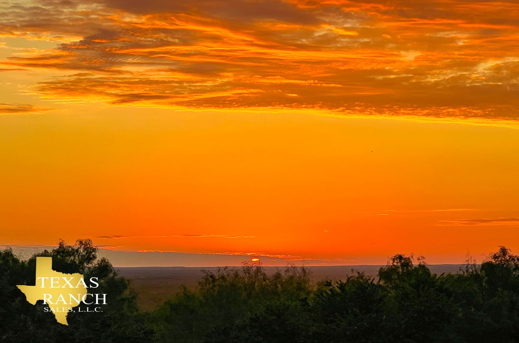 500 acres in Zapata County, Texas