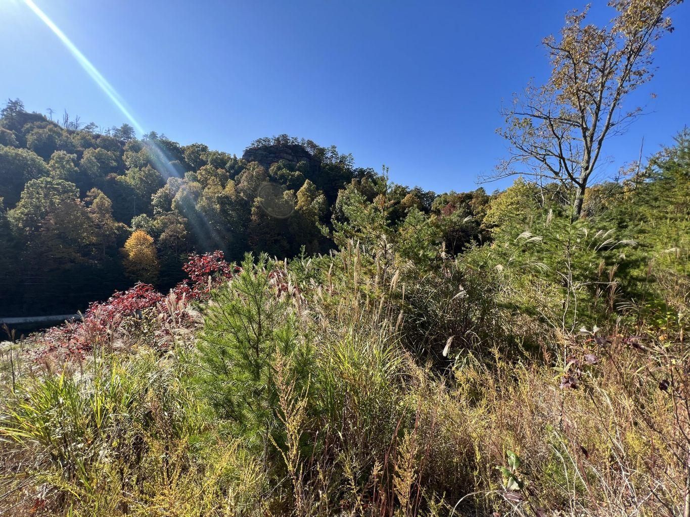 8 Twin Arch Road, Slade, KY 40380 MLS 22023035