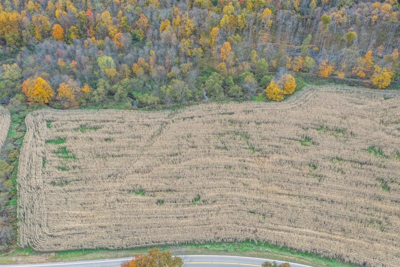 20 acres in Muskingum County, Ohio