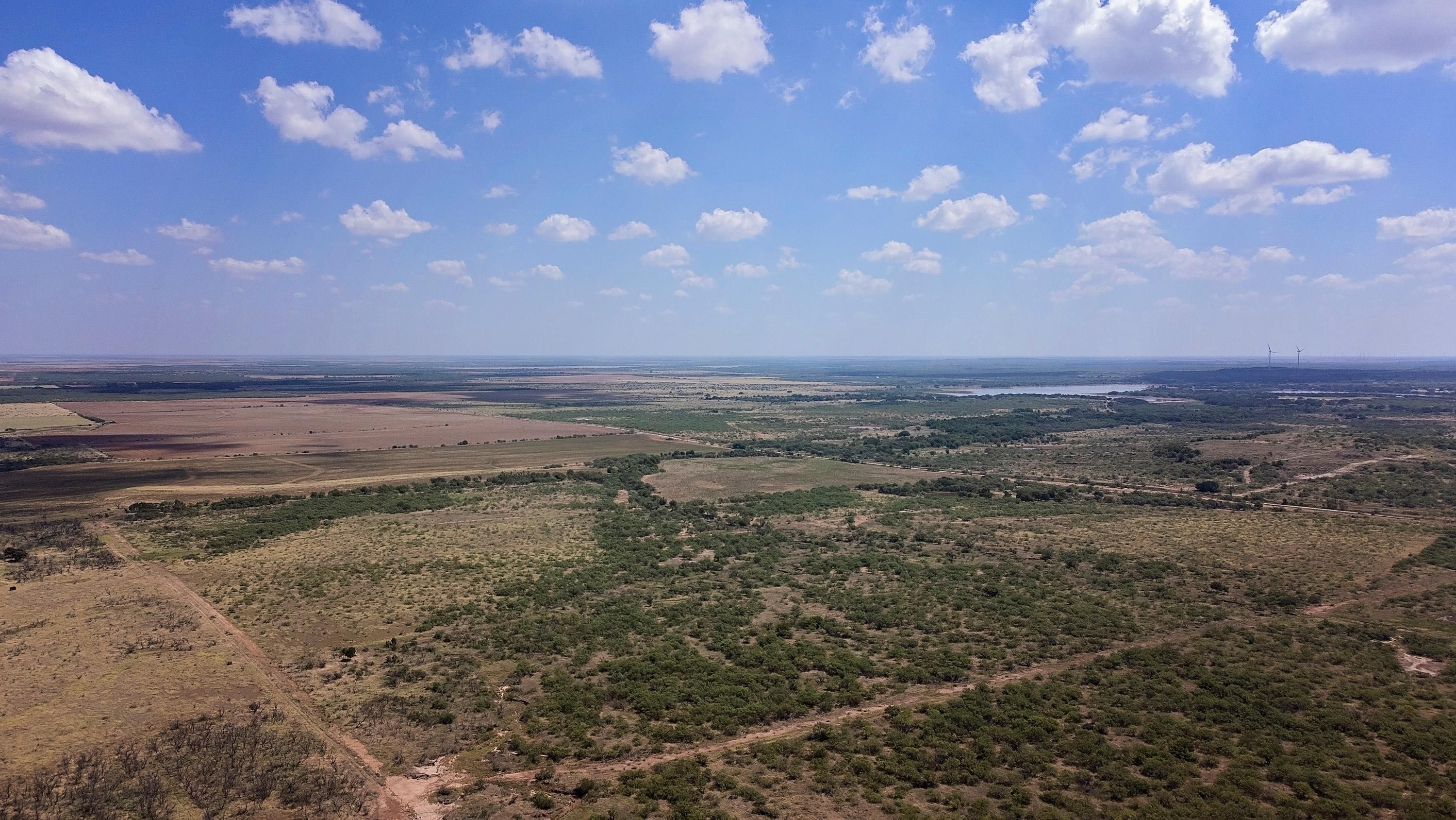 55 acres in Archer County, Texas