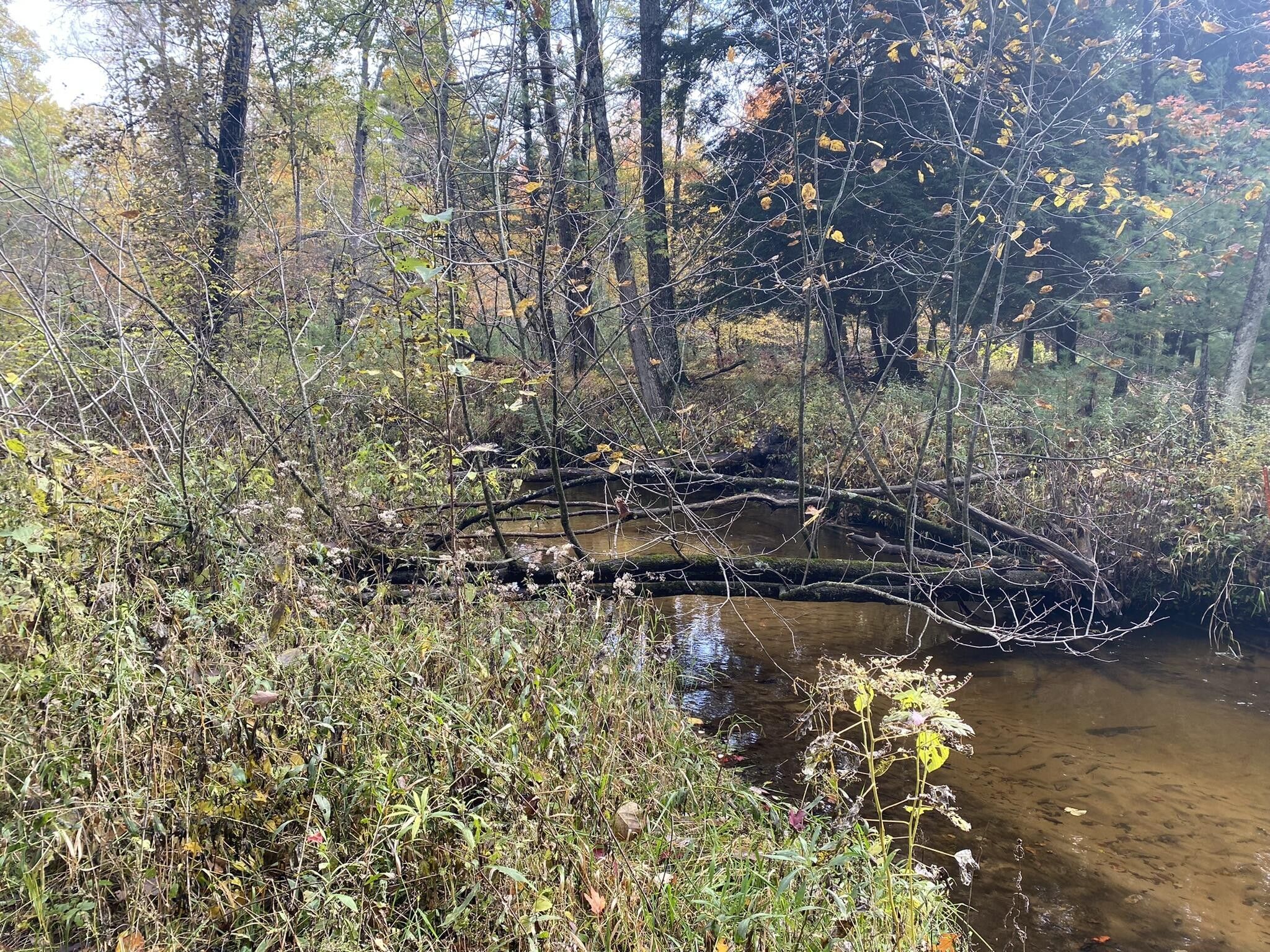 10 acres in Lake County, Michigan