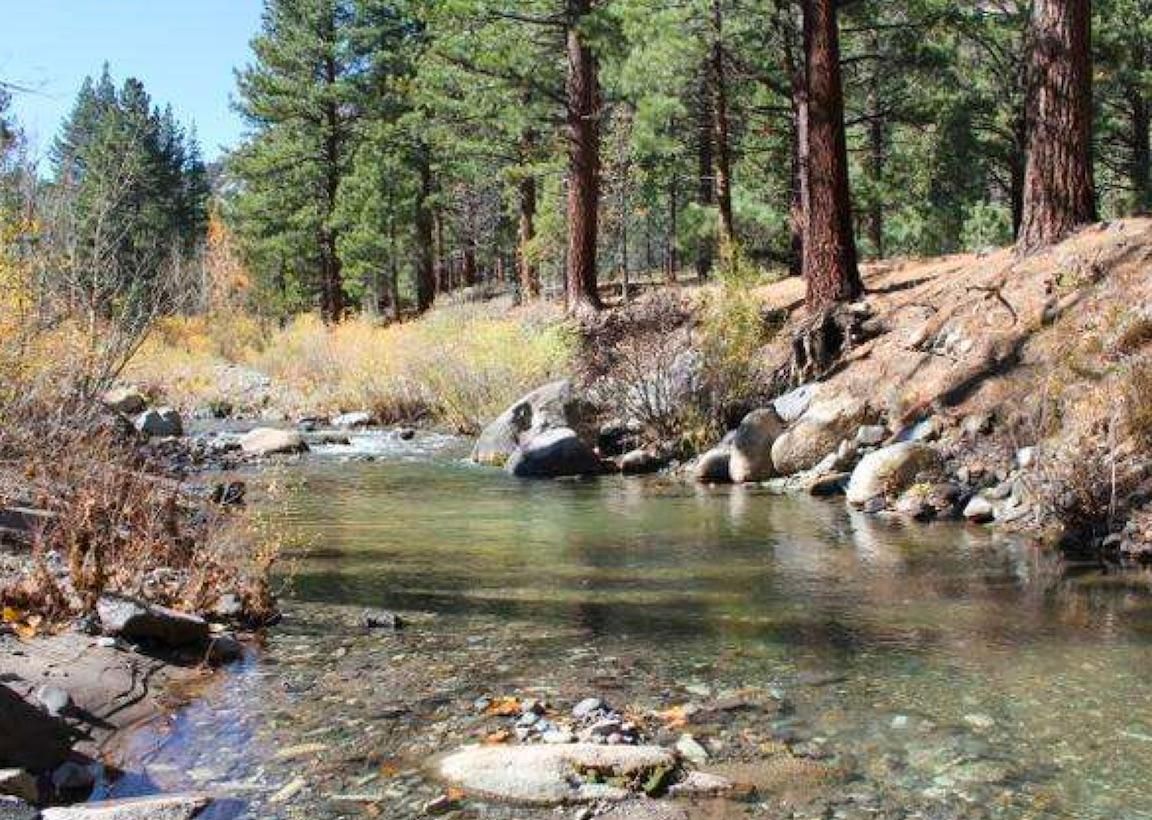 20 acres in Alpine County, California