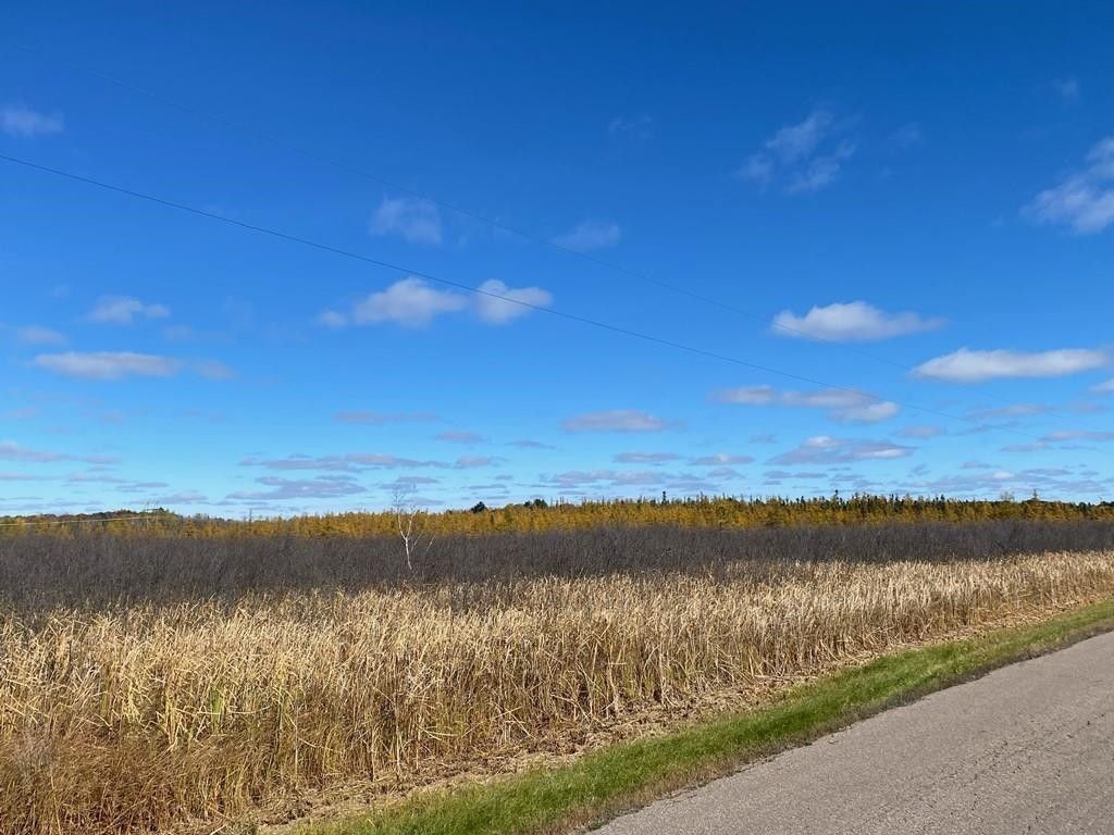 40 acres in Marathon County, Wisconsin