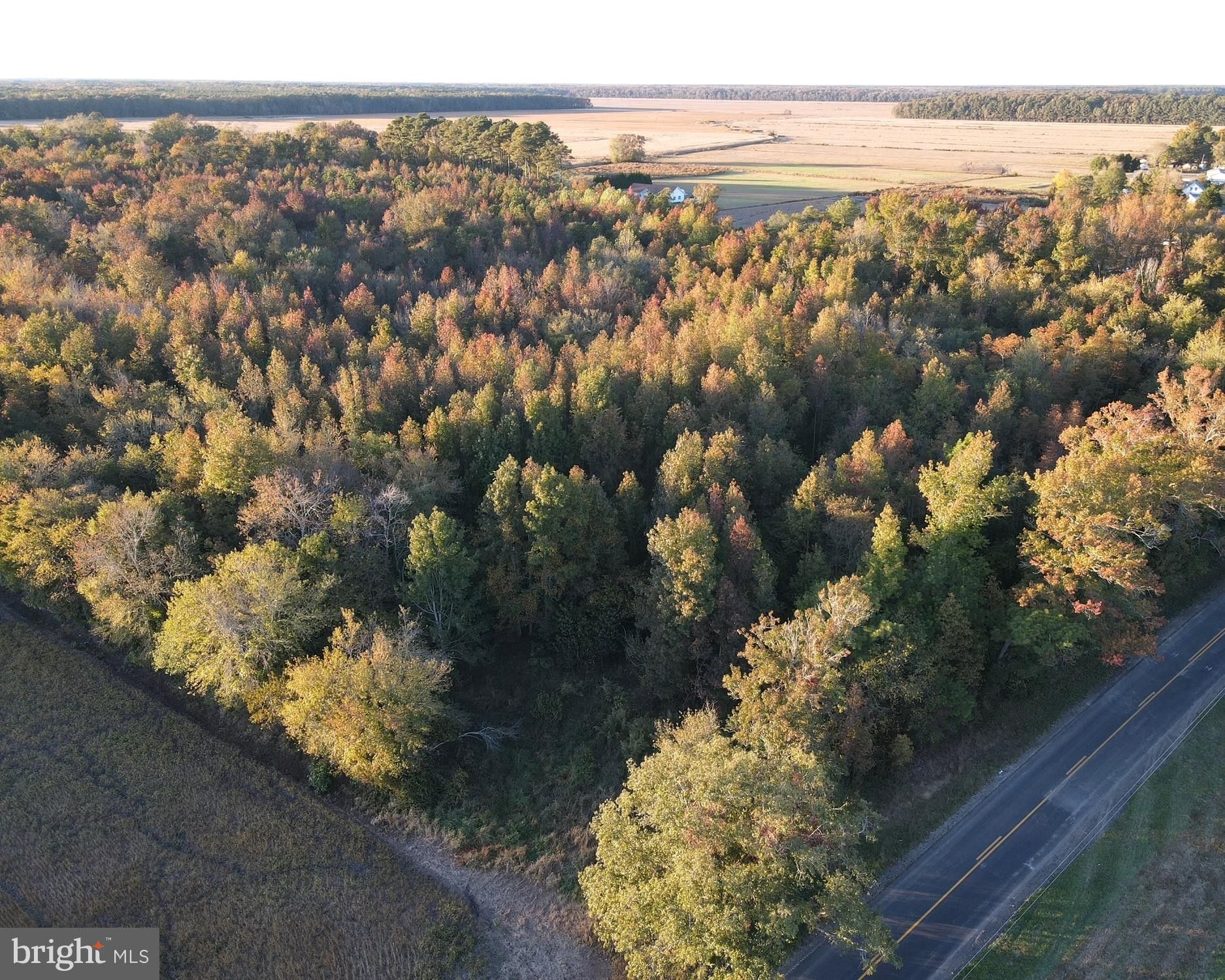 5 acres in Worcester County, Maryland