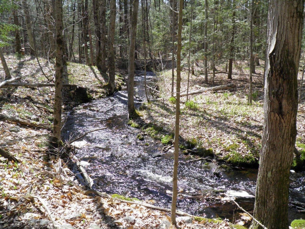 33 acres in Oneida County, New York