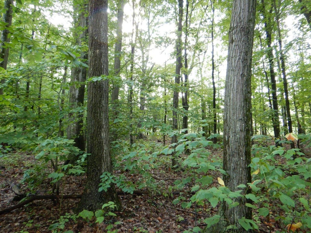 50 acres in Broome County, New York