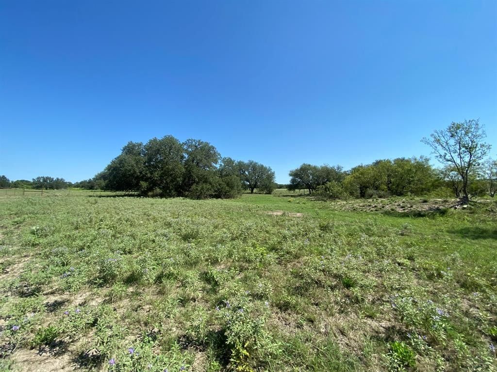 Tbd State Highway 16 South S, Goldthwaite, TX 76844 MLS 20191351