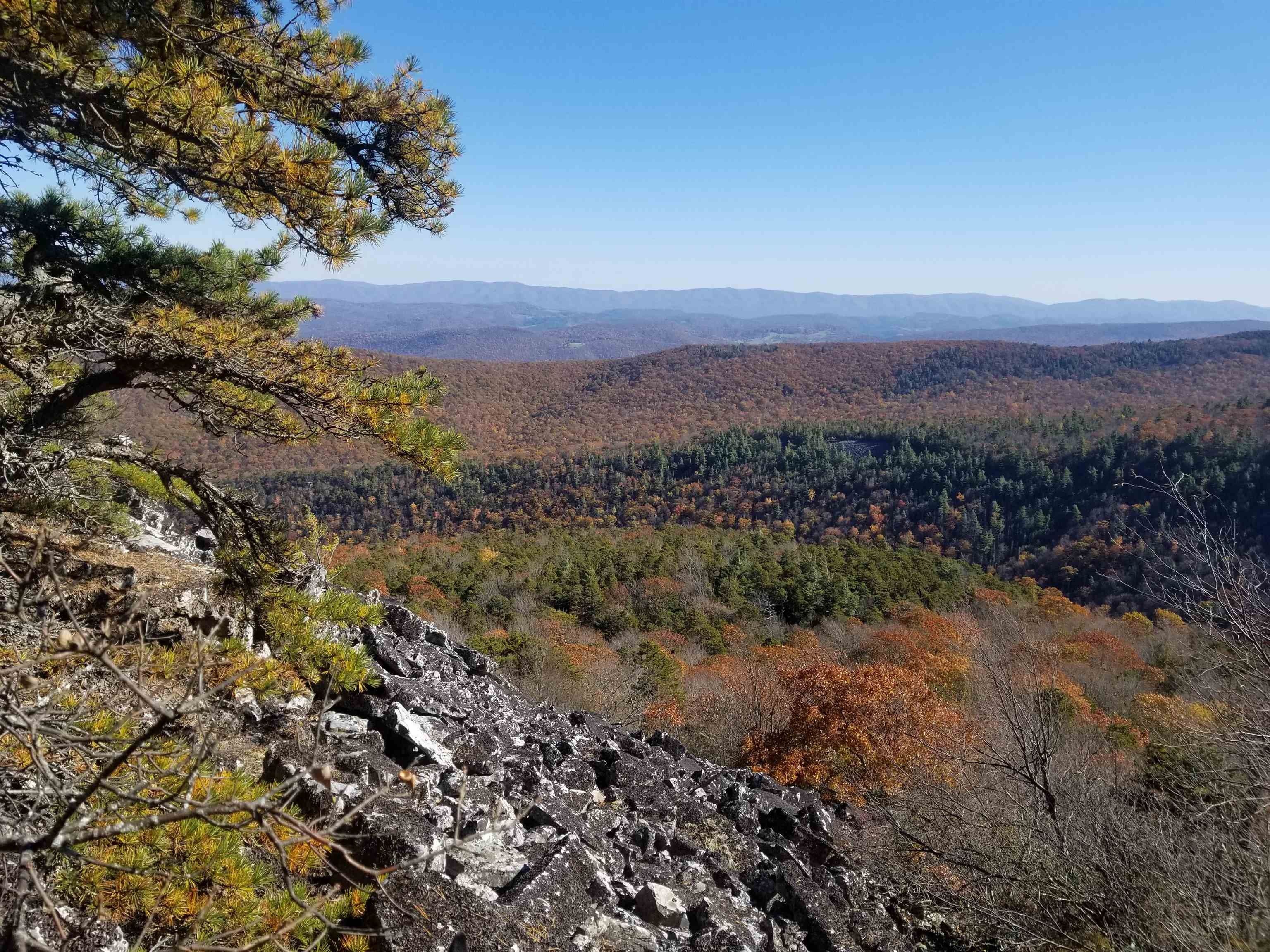 10 acres in Pendleton County, West Virginia