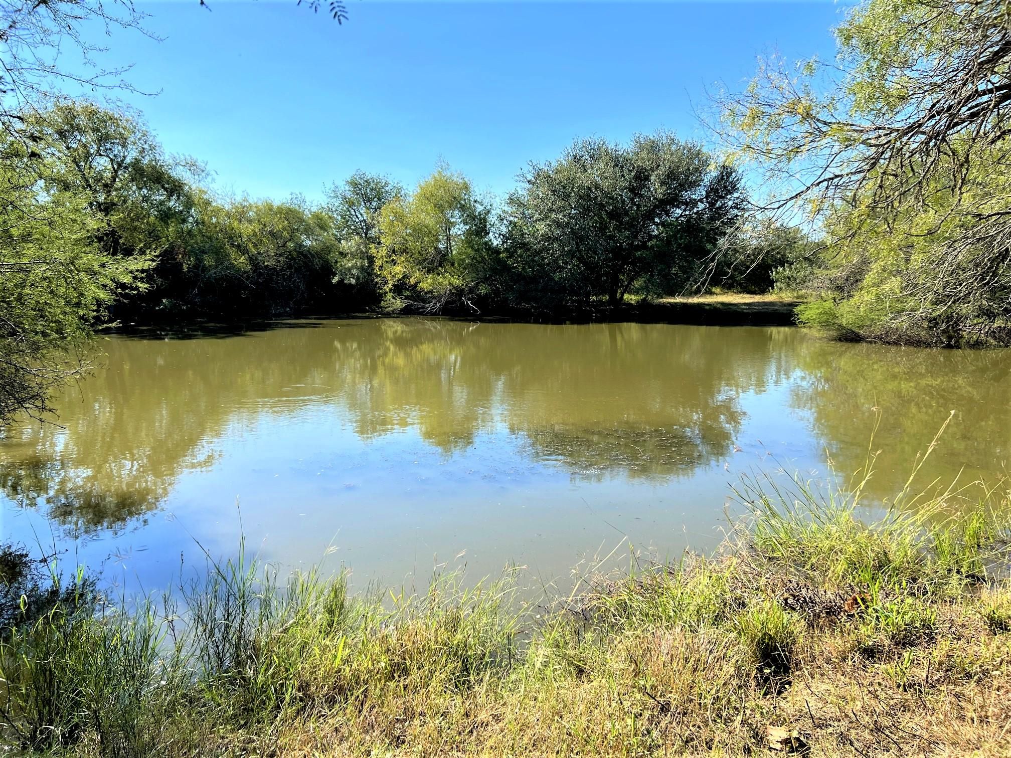 260 acres in Live Oak County, Texas