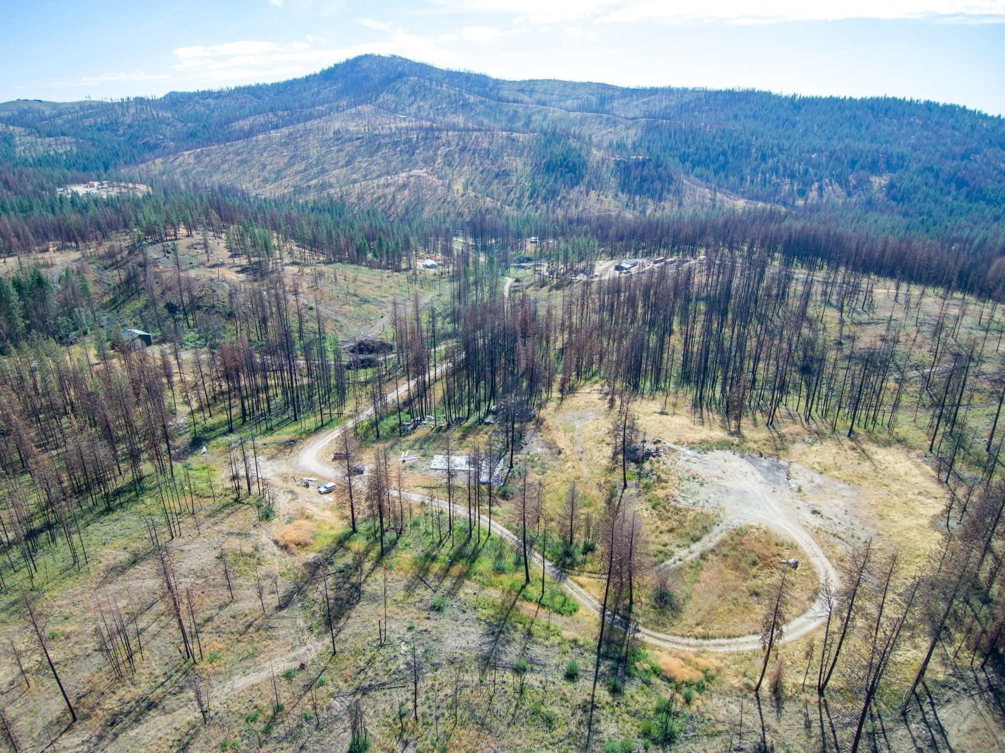 10 acres in Stevens County, Washington