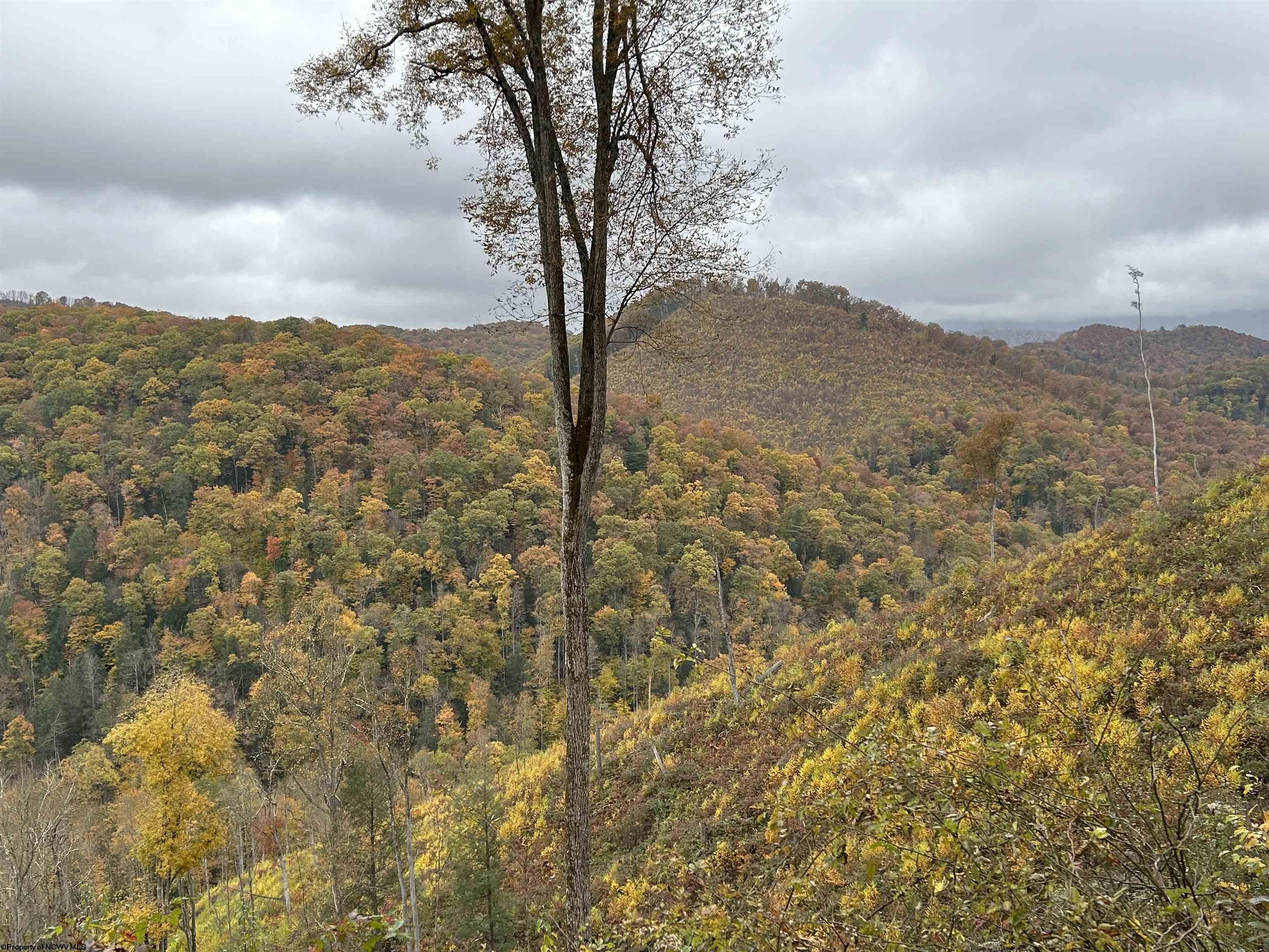 60 acres in Tucker County, West Virginia