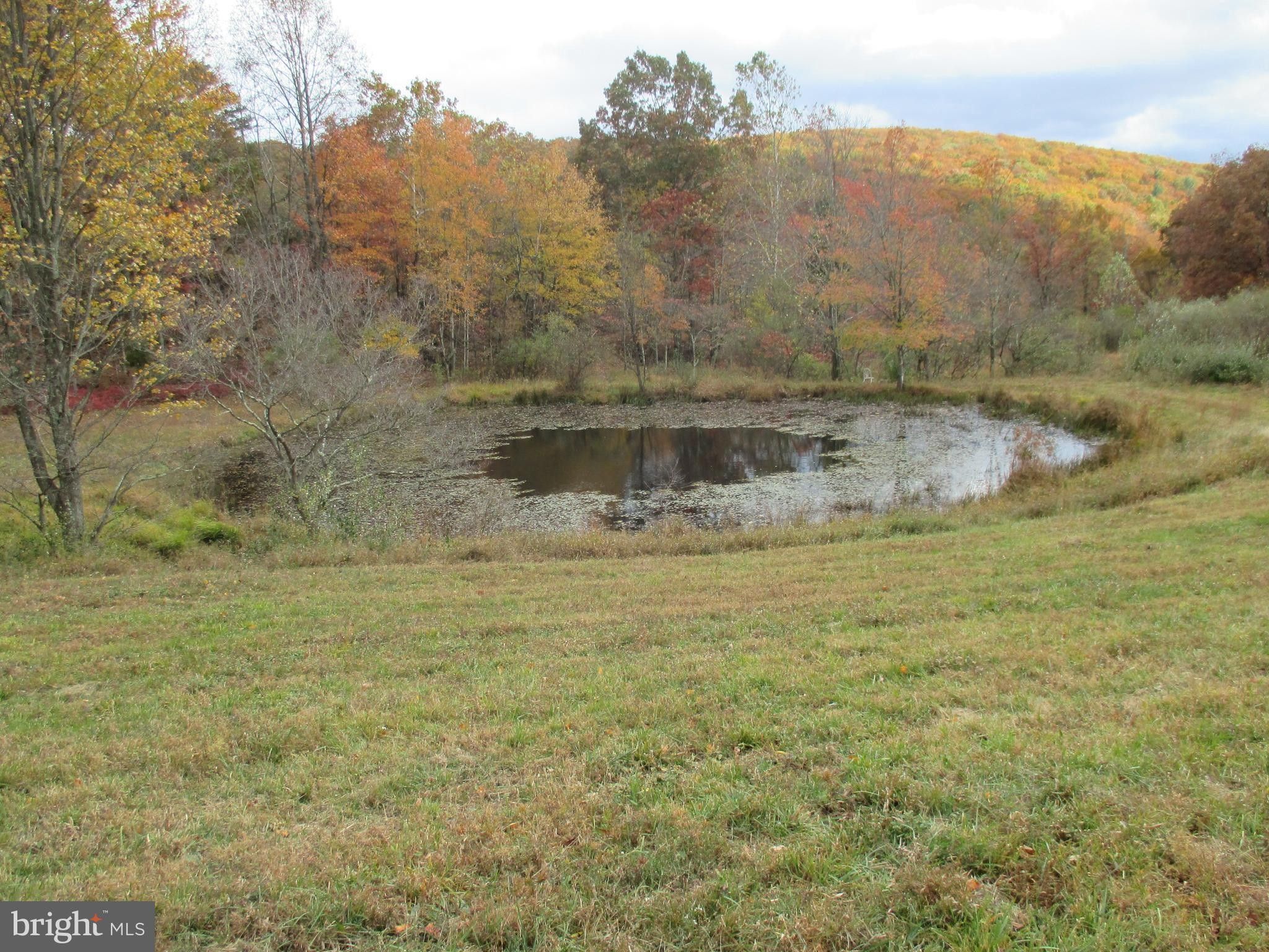 230 acres in Hampshire County, West Virginia