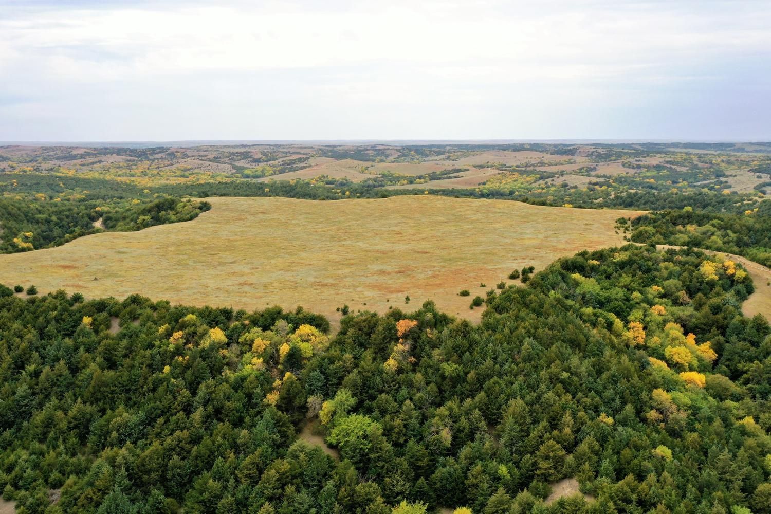 238 acres in Custer County, Nebraska
