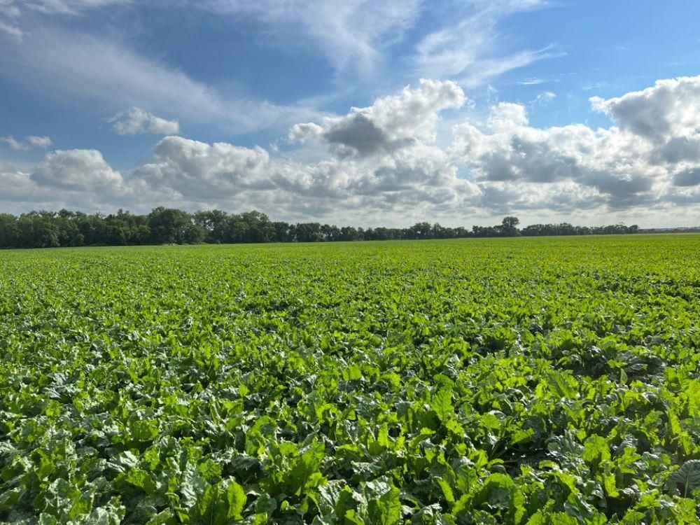 475 acres in Pembina County, North Dakota