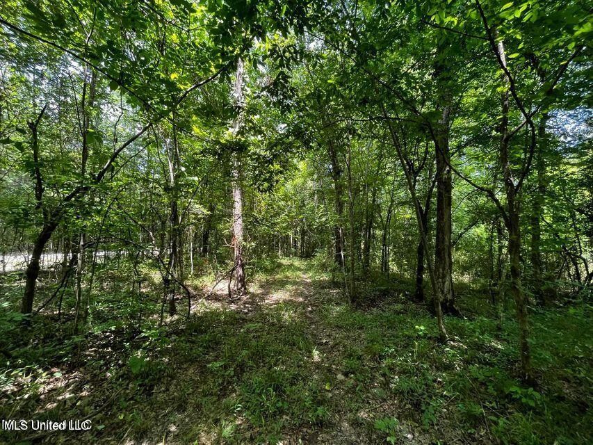 27 acres in Hinds County, Mississippi