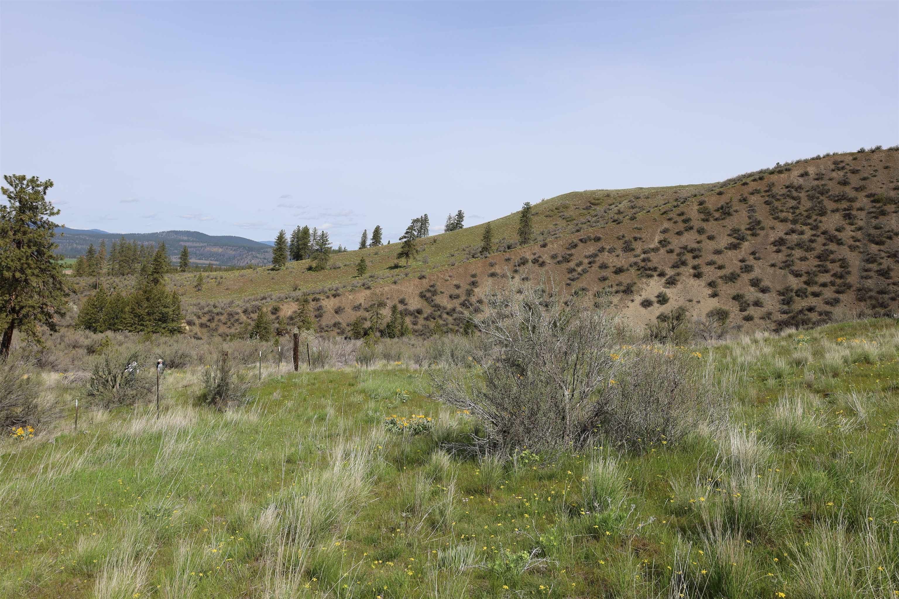 20 acres in Lincoln County, Washington