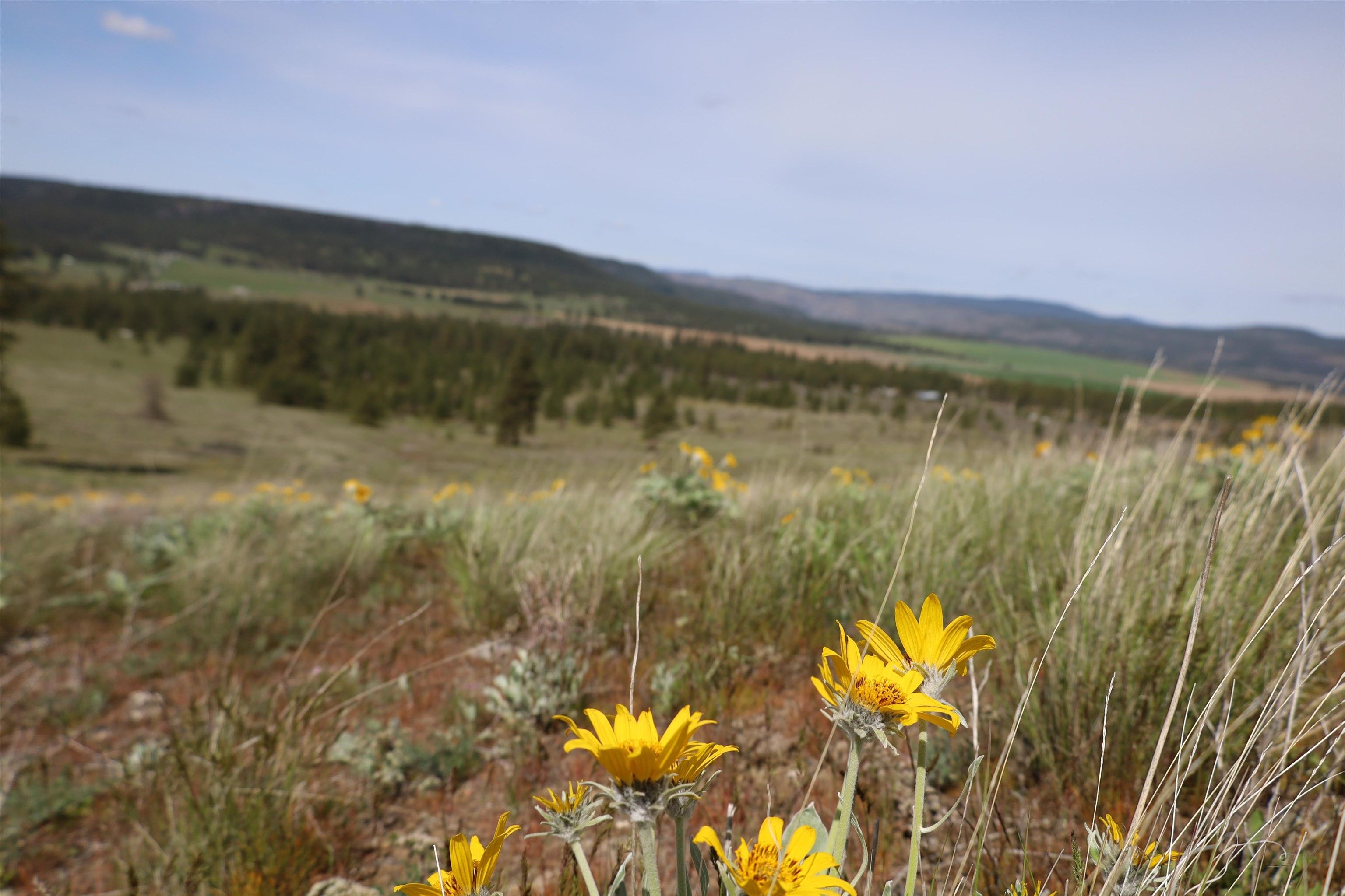 How Much Land Is 20 Acres? Miles, Area, And More! - pktxfwr