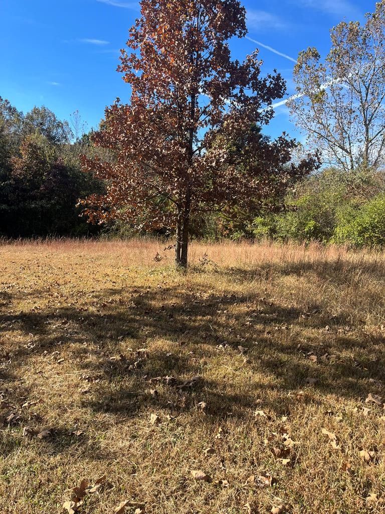 4 acres in McMinn County, Tennessee